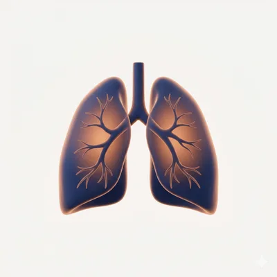 Illustration Bodyplethysmographie
